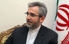 باقری: برخی موضوعات اختلافی هنوز روی میز است/ چیزی کمتر از برجام را نمی‌پذیریم