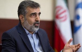 کمالوندی: موضوعات جاری ما و آژانس با روال عادی در حال پیگیری است
