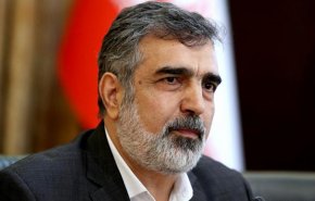 کمالوندی: ایران از امروز فرآیند بررسی‌ دوربین‌ها را در کرج آغاز می‌کند