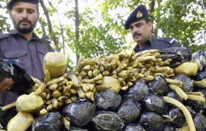 فارن پالسی: عربستان مرکز مواد مخدر در غرب آسیا
