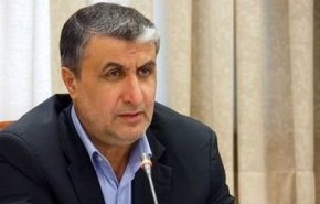 اسلامی: تلاش‌ دانشمندان حوزه کشاورزی هسته‌ای به ترویج و گسترش کشاورزی مدرن معطوف خواهد شد