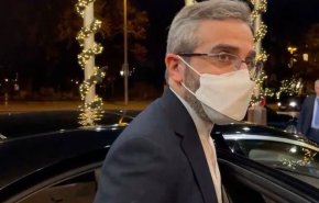 باقری پیش از عزیمت به هتل کوبورگ: به نتیجه مذاکرات وین خوش‌بینم