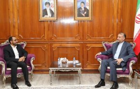 دیدار امیرعبداللهیان با مذاکره کننده ارشد دولت نجات ملی یمن در مسقط/ تاکید بر لزوم پایان محاصره و جنگ یمن