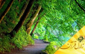 منظور از «ولاء تصرف» چیست؟
