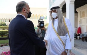 امیرعبداللهیان با امیر قطر دیدار کرد + فیلم