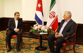 رضایی با رئیس جمهور کوبا دیدار کرد/ پیشنهاد تشکیل اتحادیه تجاری مشترک