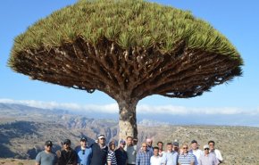 امارات پرچم رژیم صهیونیستی را در سقطری یمن برافراشت + عکس
