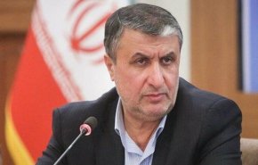 استفاده از پتانسیل سازمان انرژی اتمی برای رفع مشکلات صادرات محصولات کشاورزی