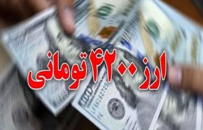 برنامه مکتوب دولت برای حذف ارز ترجیحی تقدیم مجلس شد