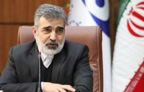 کمالوندی: همکاری ایران و روسیه برای احداث واحدهای ۲ و ۳ نیروگاه بوشهر در جریان است
