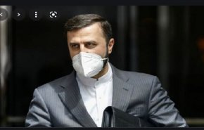غریب آبادی؛ مردم یمن قربانی جنایات مدعیان حقوق بشر شدند