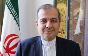 گفت‌وگوی مشاور ارشد وزیر خارجه با نماینده ویژه سوئد در امور یمن