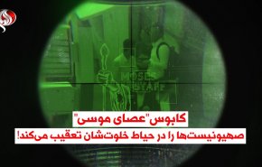 ویدئوگرافیک |  