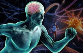 هذه التمارين تحمي الدماغ من أمراض الخرف
