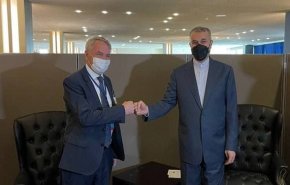 وزیر خارجه فنلاند دوشنبه مهمان امیرعبداللهیان