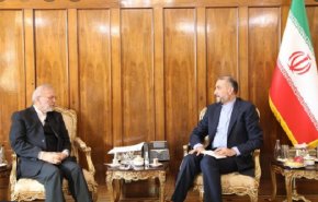 دیدار امیرعبداللهیان با متکی