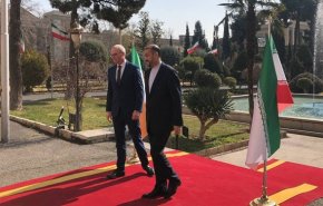 وزیر خارجه ایرلند با امیرعبداللهیان دیدار کرد
