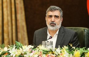 سفر سخنگوی سازمان انرژی اتمی به وین