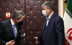 اسلامی: مسائل بین ایران و آژانس باید طبق روال طبیعی حل شود/ گروسی: گفت‌وگوهای مثمرثمری داشتیم،  انرژی هسته‌ای برای توسعه کشورها بسیار مهم است