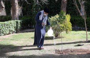 تخریب جنگلها و محیط زیست و پوشش‌های گیاهی تخریب منافع ملی است