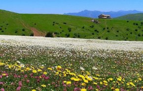 سیزده به در از طبیعت مانند خانه خود مراقبت كنيد