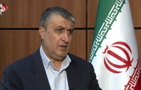 اسلامی: هدف از سیاست فشار حداکثری علیه ایران، نابودی جمهوری اسلامی است/ اقدامات خصمانه آمریکا و متحدانش علیه ایران در آژانس بین المللی انرژی اتمی