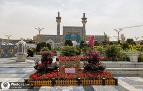 واکنش صلاح الدین ربانی به حمله تروریستی در صحن حرم مطهر رضوی