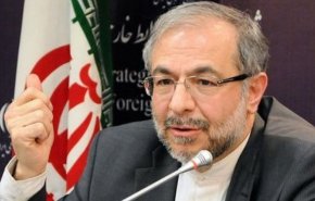 دستیار وزیر خارجه: ‏تروریسم نه دین دارد، نه مذهب، نه ملیت، نه قومیت
