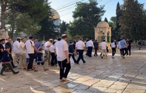عشرات المستوطنين يقتحمون المسجد الأقصى