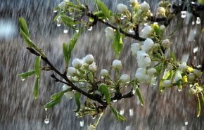 بارش باران در ۵ استان/ وزش باد شدید در نقاط مختلف کشور