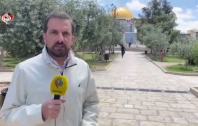شاهد..صمود الفلسطينيين يزيح الستار عن ضعف الاحتلال