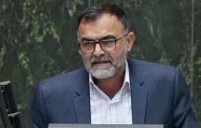 دلیل گرانی آرد و ماکارونی از زبان عضو کمیسیون کشاورزی مجلس