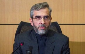 علی باقری: تعامل همسایگی سیاست راهبردی ایران است