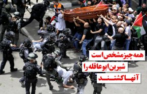 ویدئوگرافیک | شیرین ابوعاقله را آنها کشتند