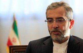  باقری: ايران به همان اندازه که در مذاکرات جدی است، در عدم اعتماد به دشمن نیز مصمم است
