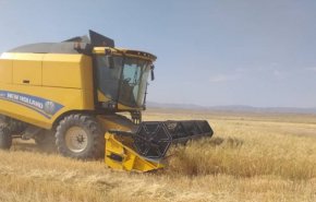 جهان برای افزایش قیمت گندم به هر تن 700 دلار آماده شود
