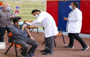 ضرورت تزریق دز چهارم برای مواجه نشدن با پیک هفتم/ هنوز برای اعلام پایان کرونا زود است