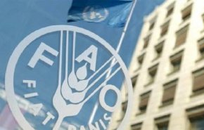 فائو: امنیت غذایی ایران از ۱۱۹ کشور جهان بیشتر شد
