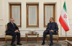 امیرعبداللهیان: اجرای کریدور خلیج فارس - دریای سیاه منشا تحولات مثبت در همکاری‌های تجاری می‌شود