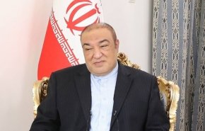 صفری: نشست‌های کمیسیون مشترک اقتصادی ایران با قطر و نیجریه برگزار می‌شود