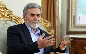 زیاد النخاله: ایران همواره پشتیبان مقاومت فلسطین بوده است
