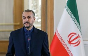 امیرعبداللهیان وارد هند شد