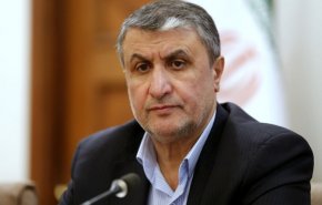 اسلامی: سنگ اندازی در فرایند اجرای تعهدات آژانس باید متوقف شود