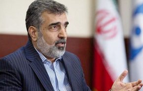  توضیحات کمالوندی درباره اقدام متقابل ایران دربرابر رفتار سیاسی آژانس+ویدیو