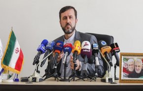 درخواست غریب آبادی برای رسیدگی به اقدامات ناقض حقوق بشر آلمان و بلژیک علیه یک ایرانی