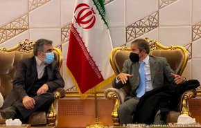 اظهارات و موضع‌گیری‌های سیاسی مدیرکل آژانس موجب پیچیده شدن روابط اعضا می شود