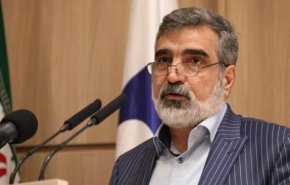 کمالوندی: آژانس در جریان کامل اقدامات ایران در مجتمع نطنز است