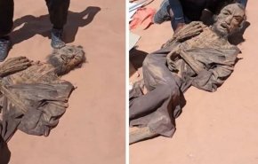 بالفيديو..حقيقة العثور على 