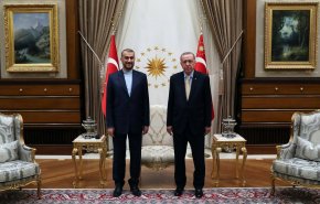 دعوت امیر عبداللهیان از اردوغان برای سفر به ایران/ تاکید بر نقش مخرب رژیم صهیونیستی در منطقه