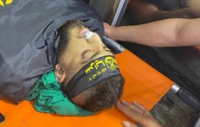 تمجید جنبش جهاد اسلامی از شهید محمد ماهر مرعی